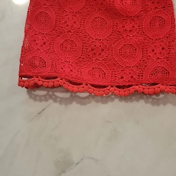 Red Lace Dress - Picture 6 of 7